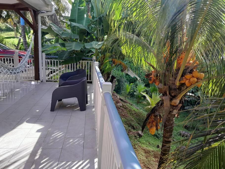 Bungalow Abricot Petit-Bourg Dış mekan fotoğraf